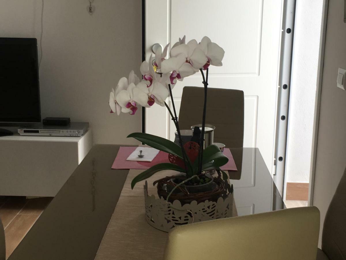 The Shabby House - Charming Seaside Retreat In Central Anzio, Steps From Beach And Train Station 외부 사진